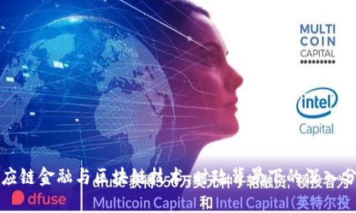 供应链金融与区块链技术：时政背景下的深入分析